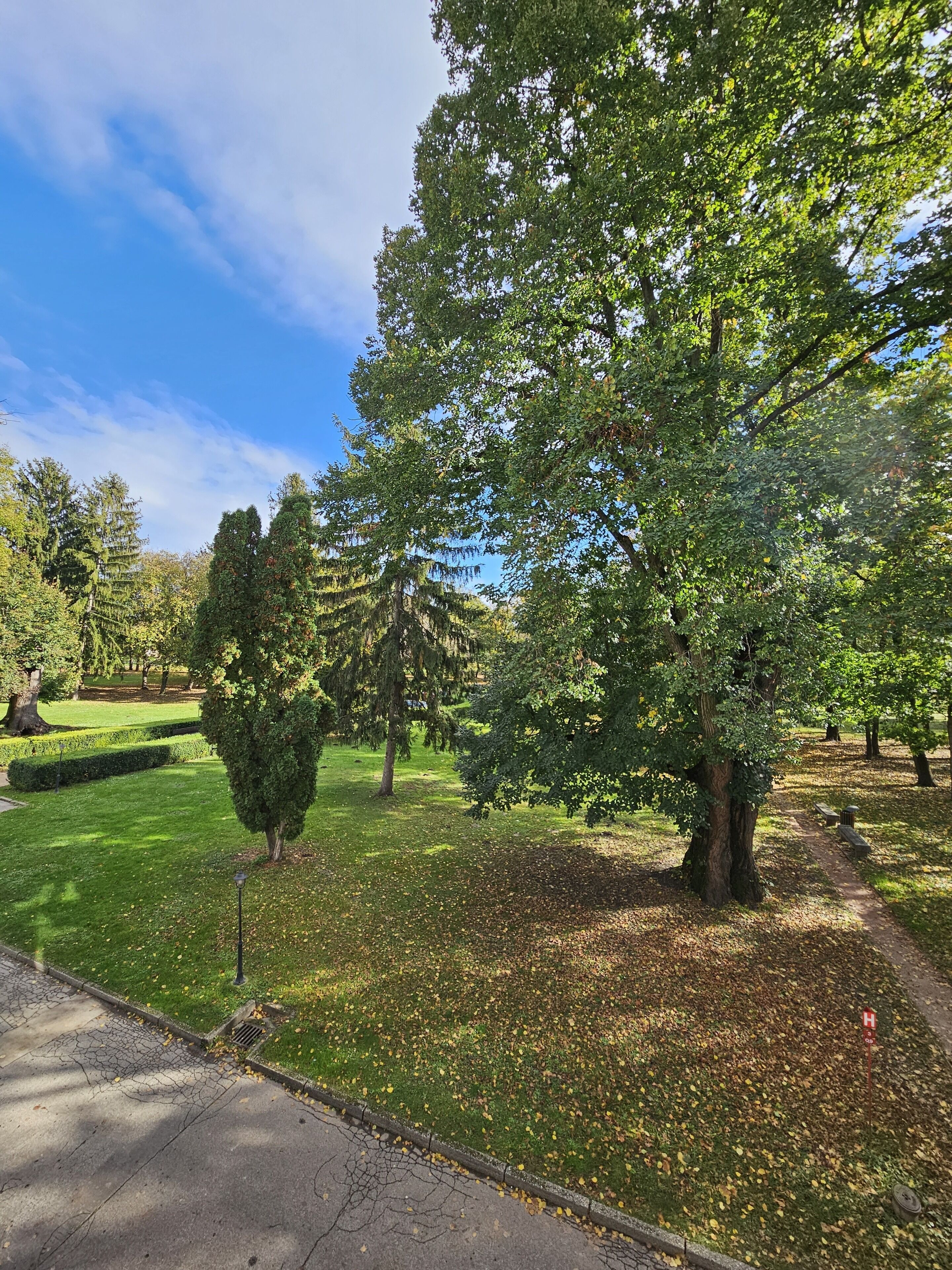 A park with a variety of trees, a well-maintained lawn, and a paved walkway.