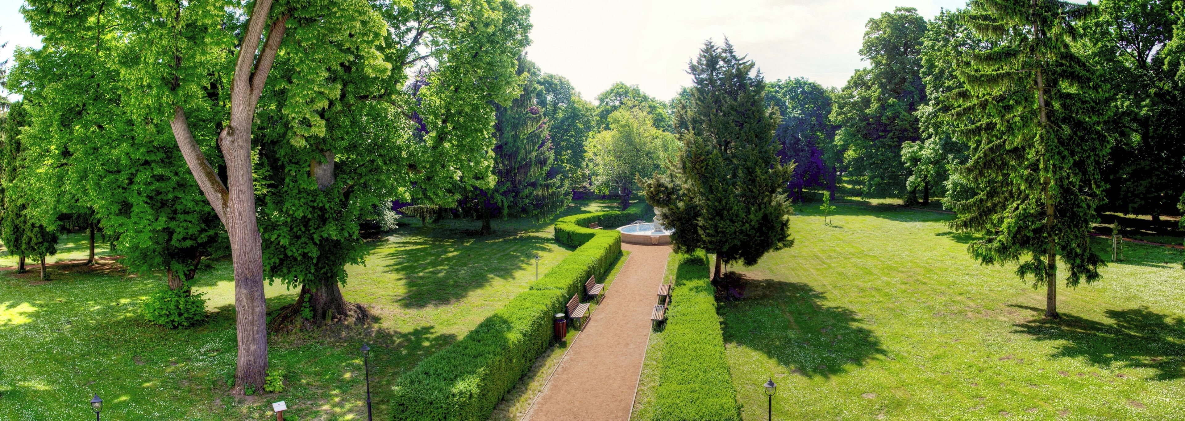 Comfort Double or Twin Room | Garden view