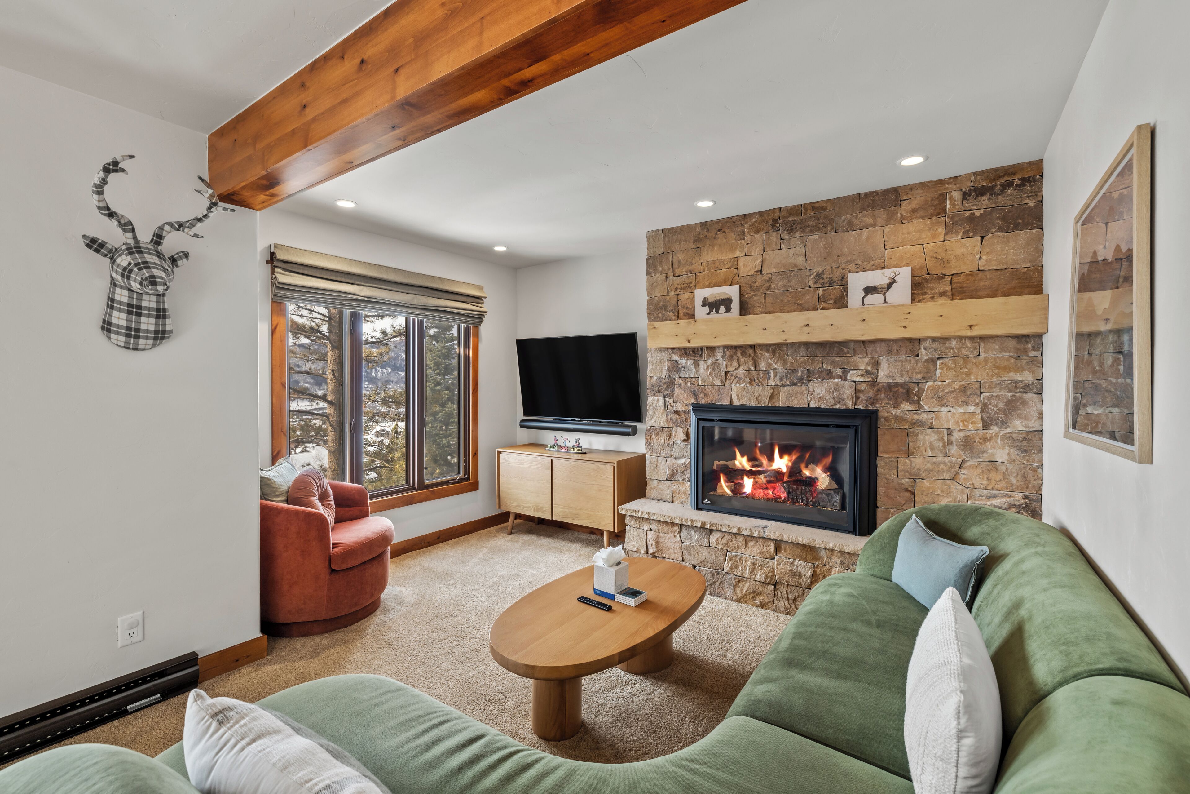 TV, fireplace, stereo