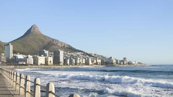 Apartment (0 Bedroom) | Interior