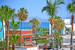 Miscellaneous - Garden Patio Stay 1 Block from Malecón & Beach (La Paz)