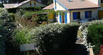 Villa Océlandes N°49 Avec Piscine