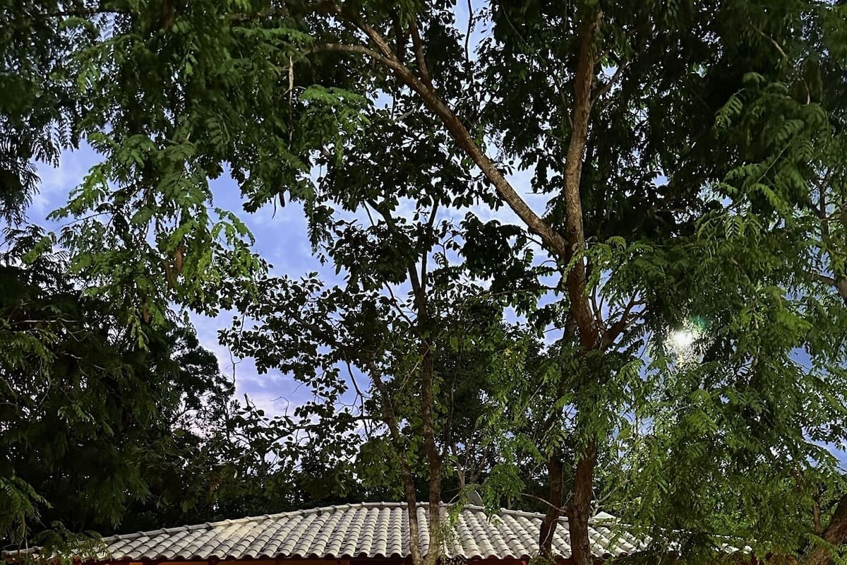 A house with a tiled roof, a small porch, and a hammock in the yard.