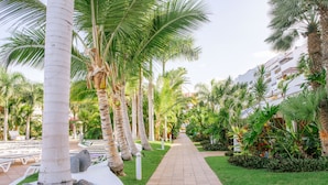 A pathway lined with palm trees and a pool area with lounge chairs. - Aparthotel Parque Santiago III (Arona)