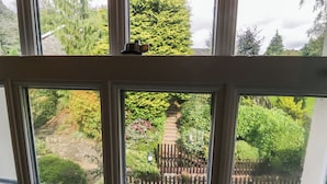 A view through a window with a wooden fence and lush greenery. - Lakeside View (Ulverston)