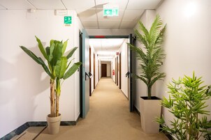 Standard Triple Room | Terrace/patio