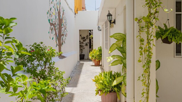 Une ruelle étroite, bordée de plantes en pot et ornée d’une fresque murale.