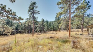 A forested area with tall pine trees, a dry grassy field, and a wooden structure. - 17 Mi to Town: Peaceful Pet-friendly Golden Cabin! (Golden)