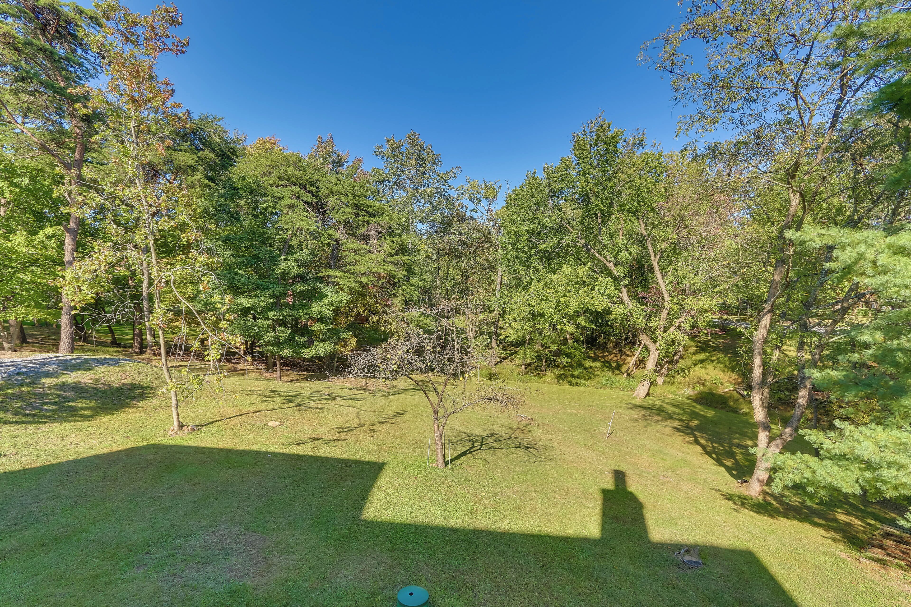 A grassy outdoor area with trees and a clear blue sky.