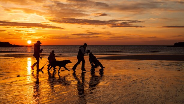 En solnedgång över en strand med människor och en hund som promenerar längs strandkanten.