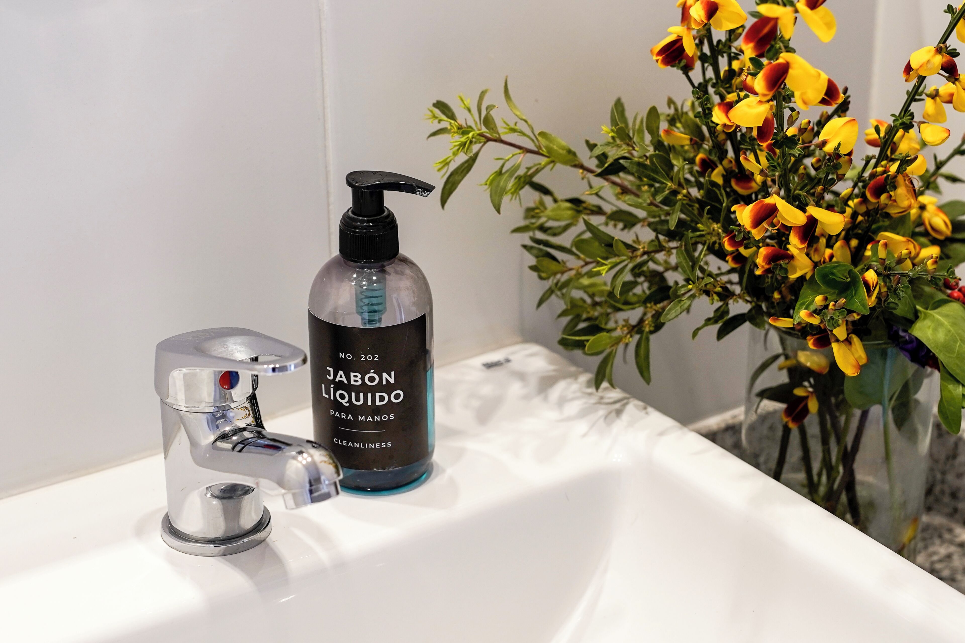 Un lavabo de salle de bain avec un distributeur de savon et un robinet.