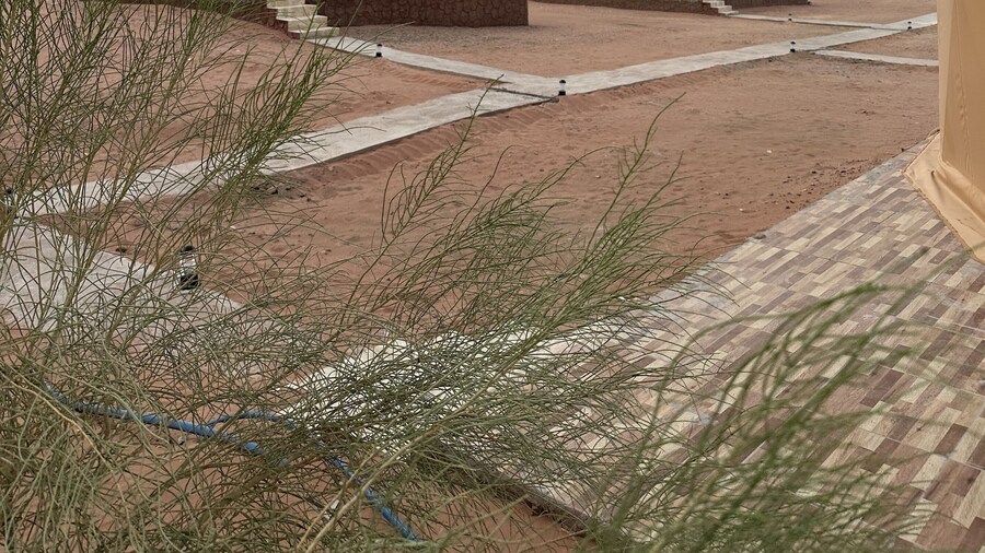 Luxury purple bubble tents