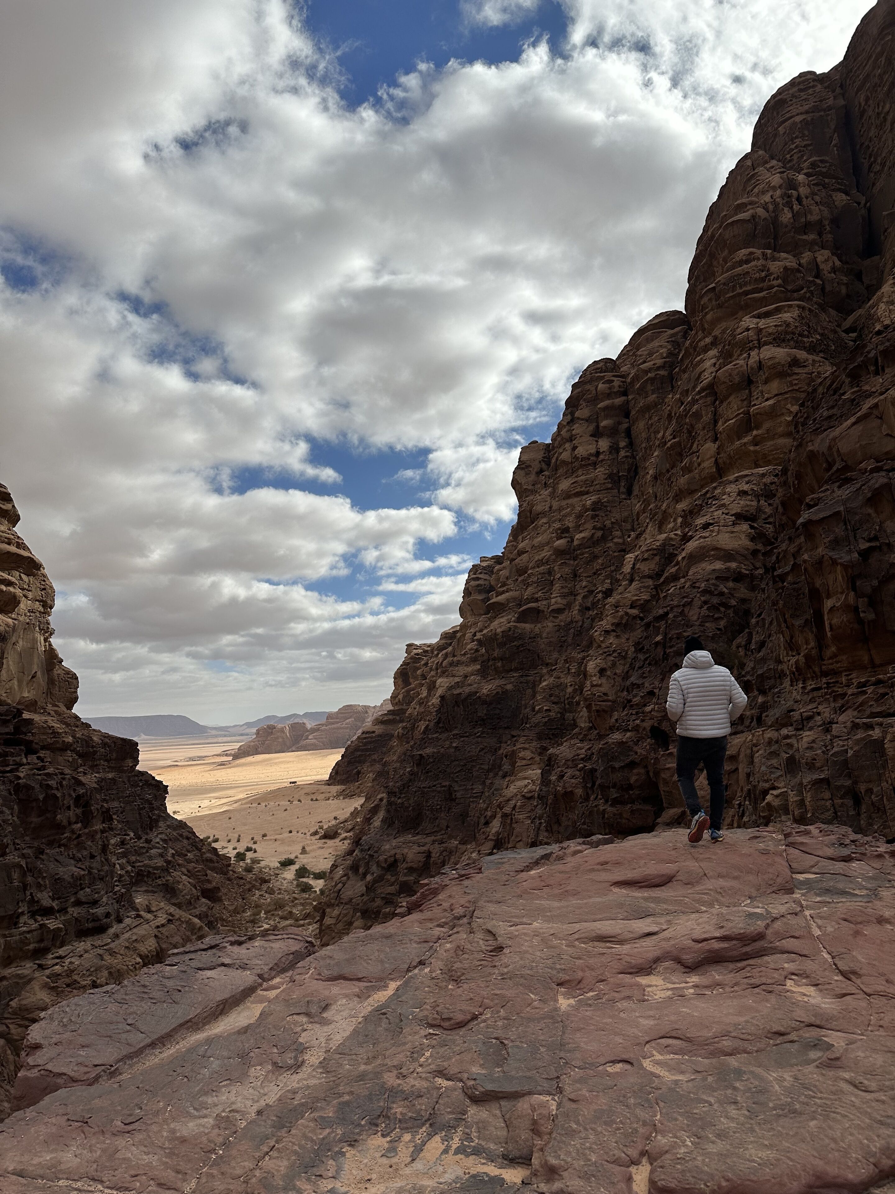 Une personne se tient sur un sentier rocheux dans un canyon, avec une vue sur des montagnes lointaines et un ciel nuageux.