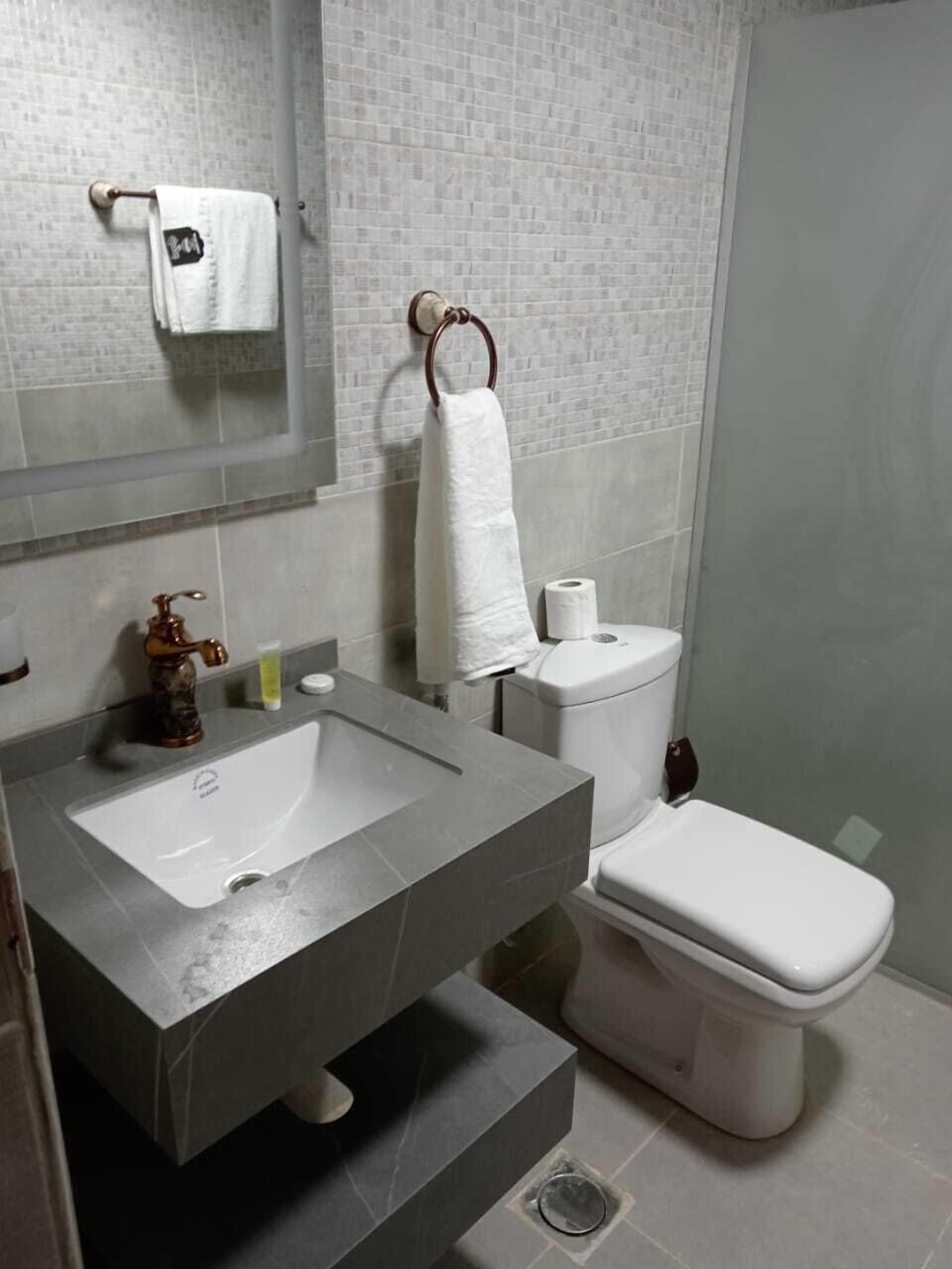 A modern bathroom with a grey sink, a toilet, and a towel rack.
