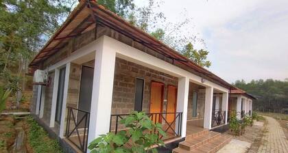 Rain Forest Eco Resort