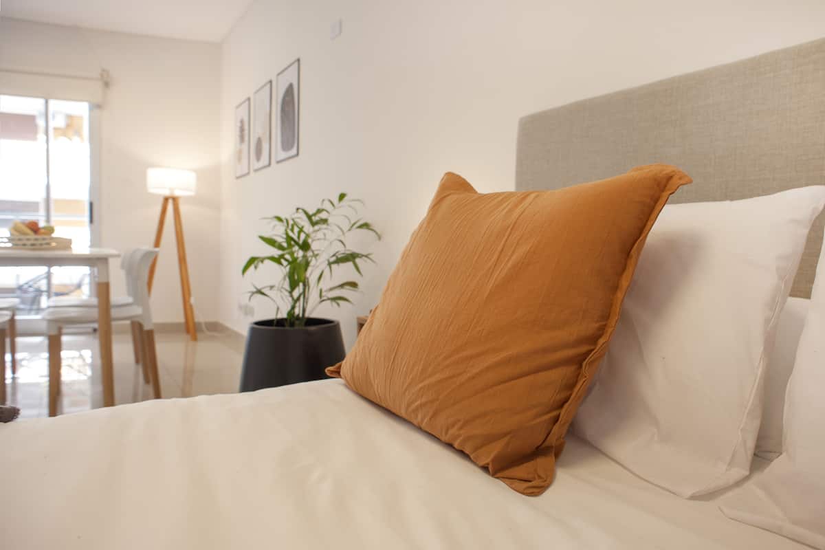A hotel room with a bed, a potted plant, a desk with a lamp, and a chair.