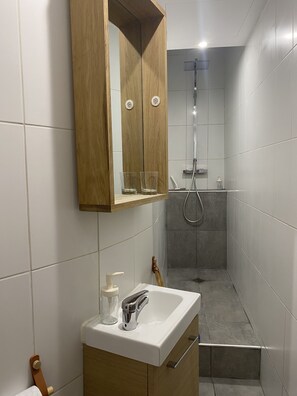 Hair dryer, towels, soap, toilet paper - Studio au Cœur de Paris (Paris)