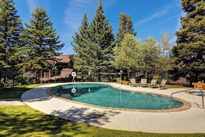 Ein Pool mit gewölbter Kante, umgeben von einem Zaun und von Bäumen beschattet.