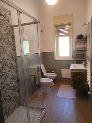 Shower, eco-friendly toiletries, hair dryer, bidet