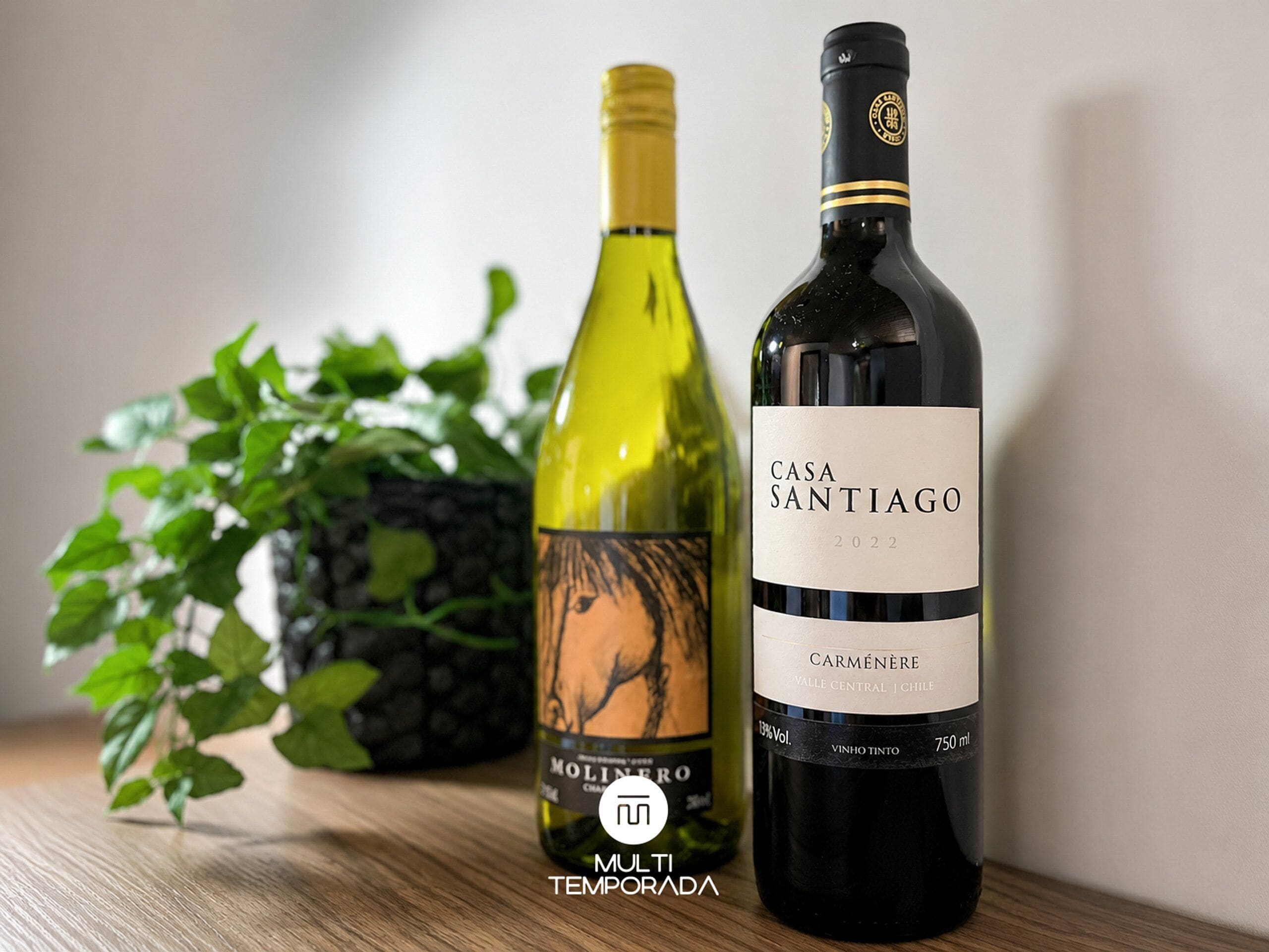 Two wine bottles on a wooden surface with a potted plant in the background.