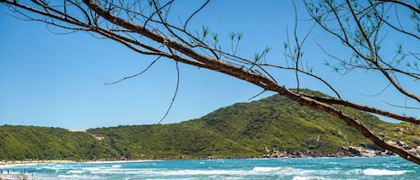 Gần bãi biển, cát trắng