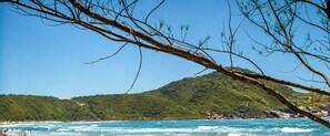 A beach with clear blue water, a mountainous backdrop, and a tree branch in the foreground.