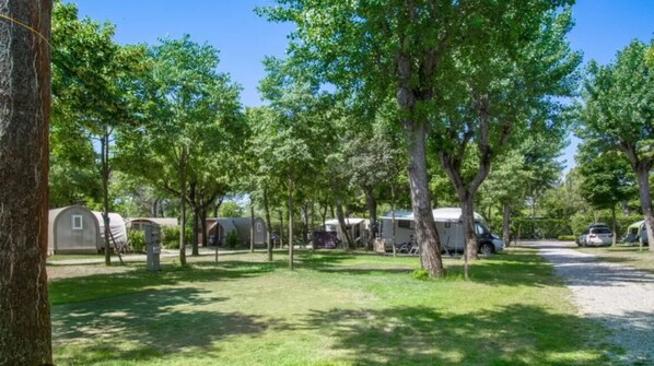 Surrounded by trees, this campsite offers a natural setting with RVs and mobile homes.