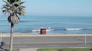 Une route côtière bordée d’un palmier et d’une petite construction rouge située près de l’eau.