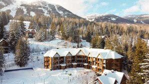 A lodge with multiple wooden cabins, a central building with a snow-covered roof, surrounded by snow-covered trees and mountains.
