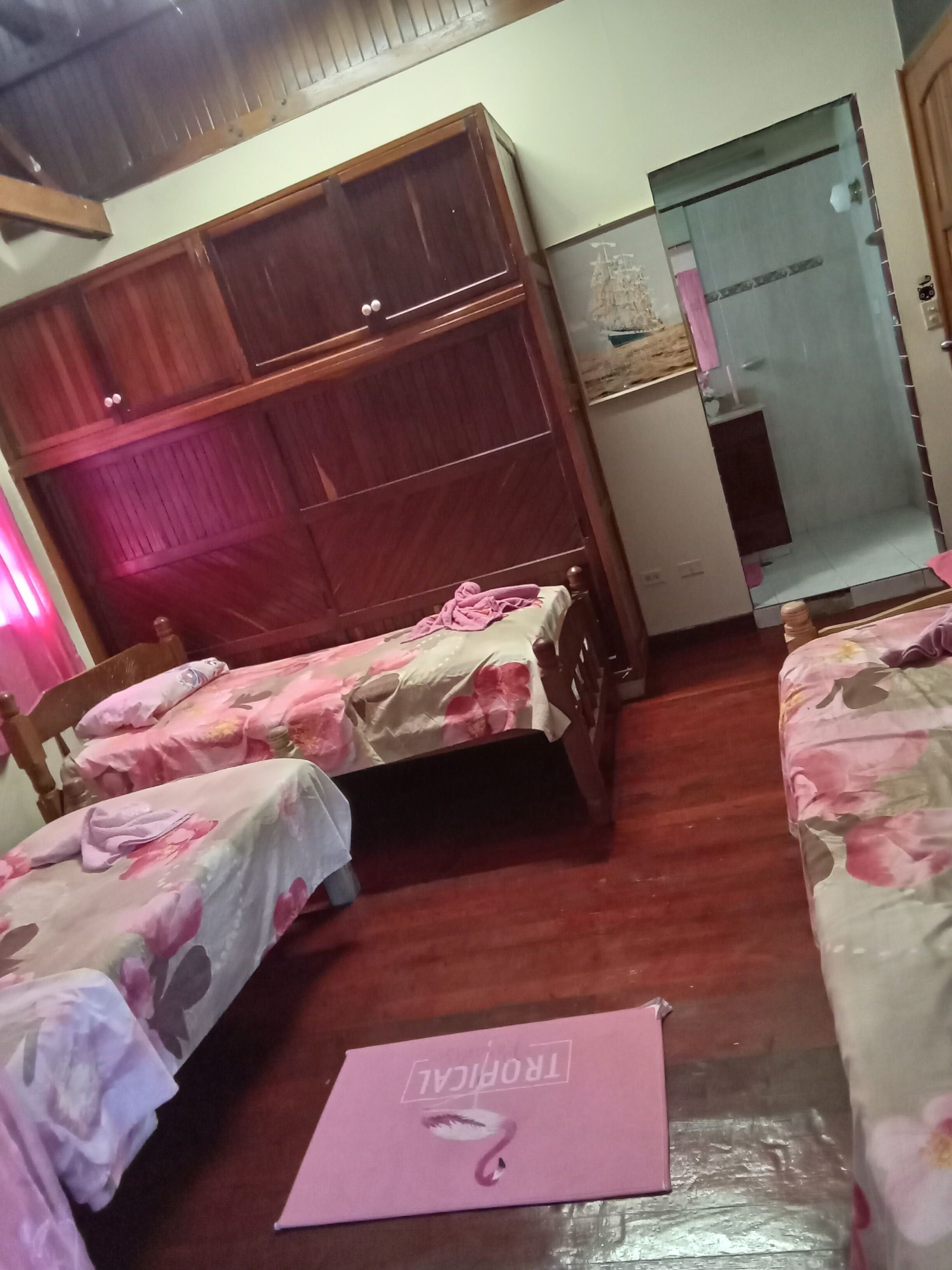 Photo - Hostal Cuba Dance Garden