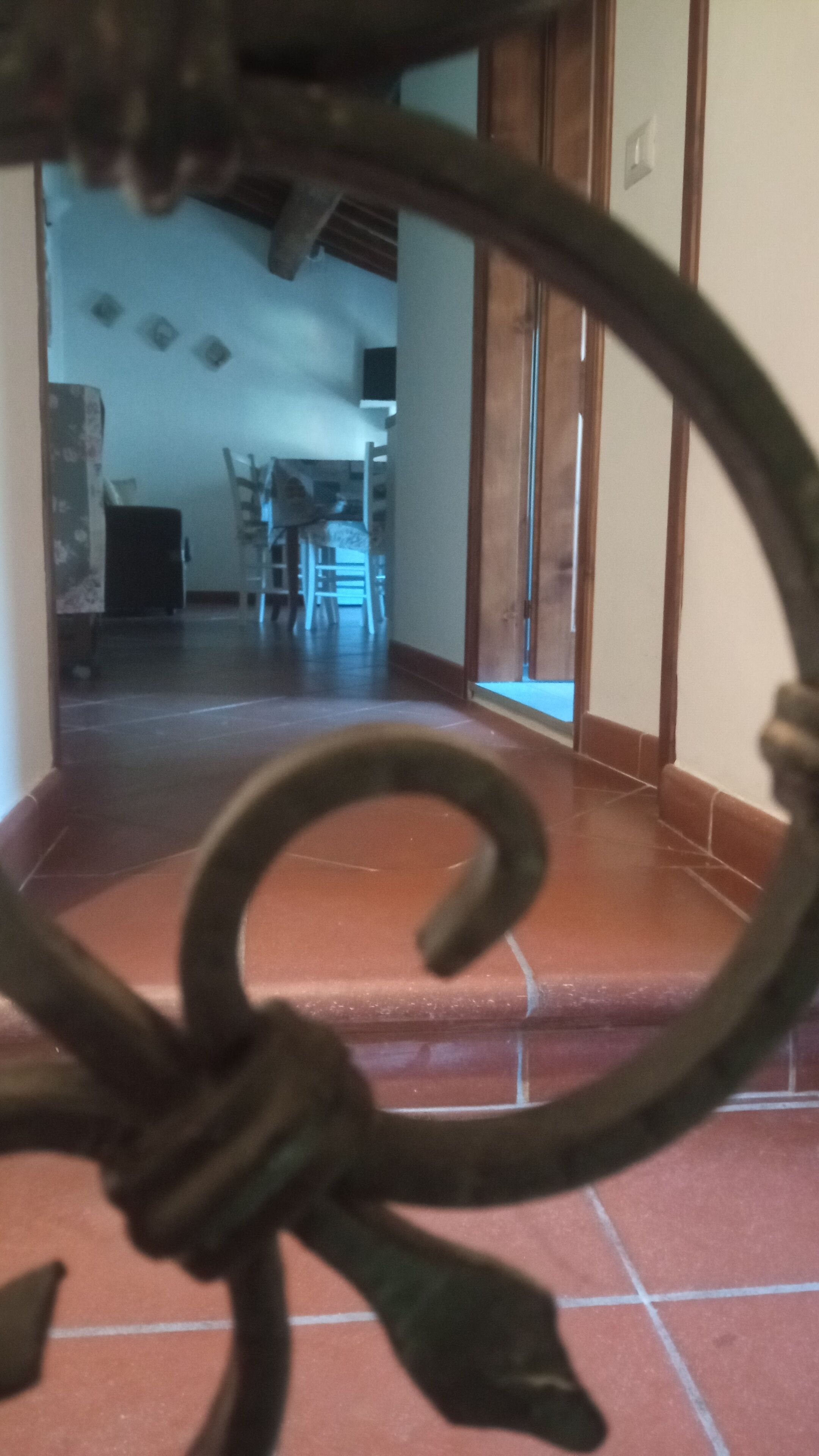 A close-up of a metal decorative element, possibly part of a gate or railing, with a blurred background suggesting an indoor setting with a tiled floor and a doorway leading to another room.
