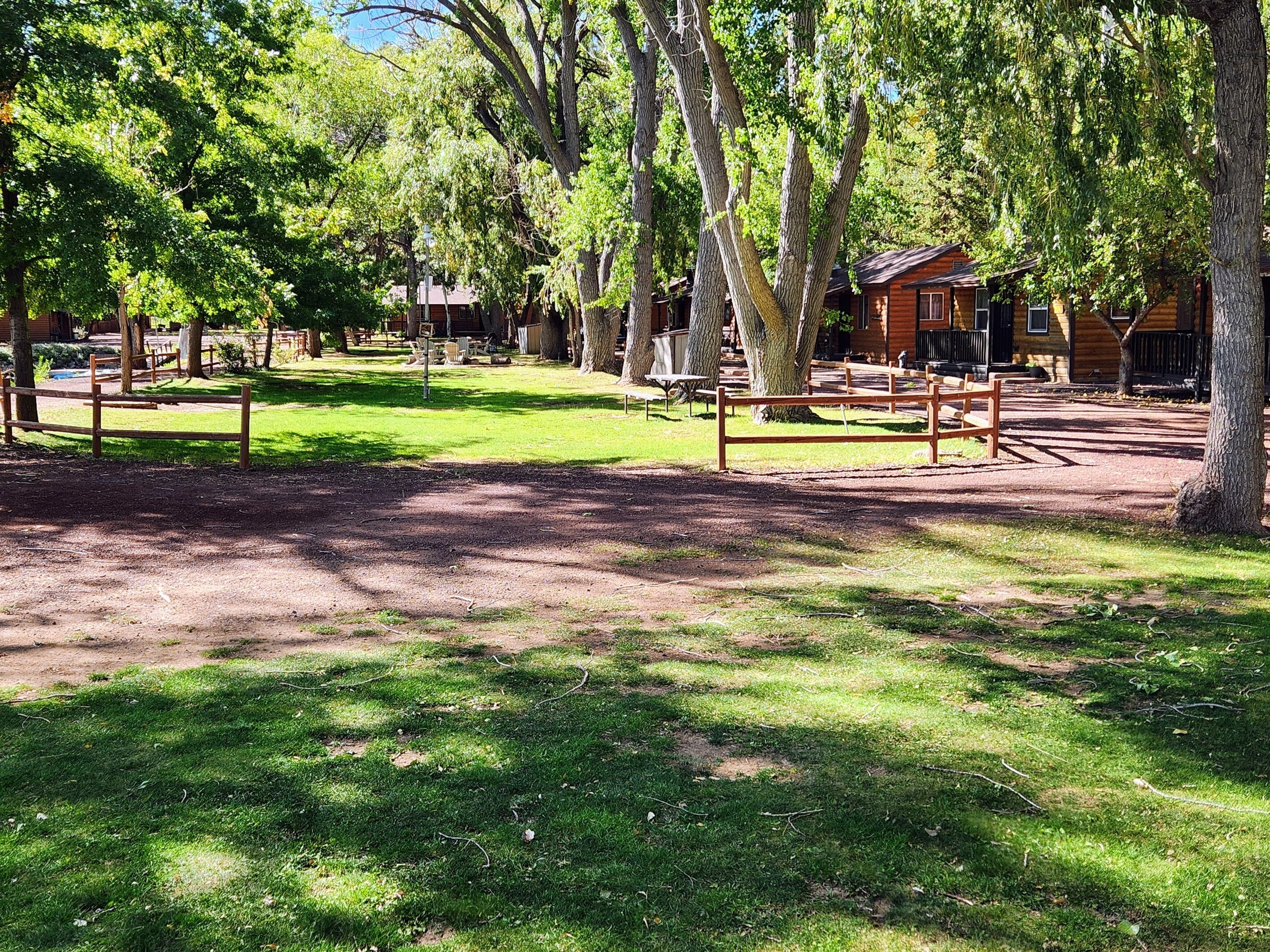 Un chalet rustique avec une cabane en bois, entouré d’une zone herbeuse délimitée par une clôture, où se trouvent des bancs et des tables de pique-nique.