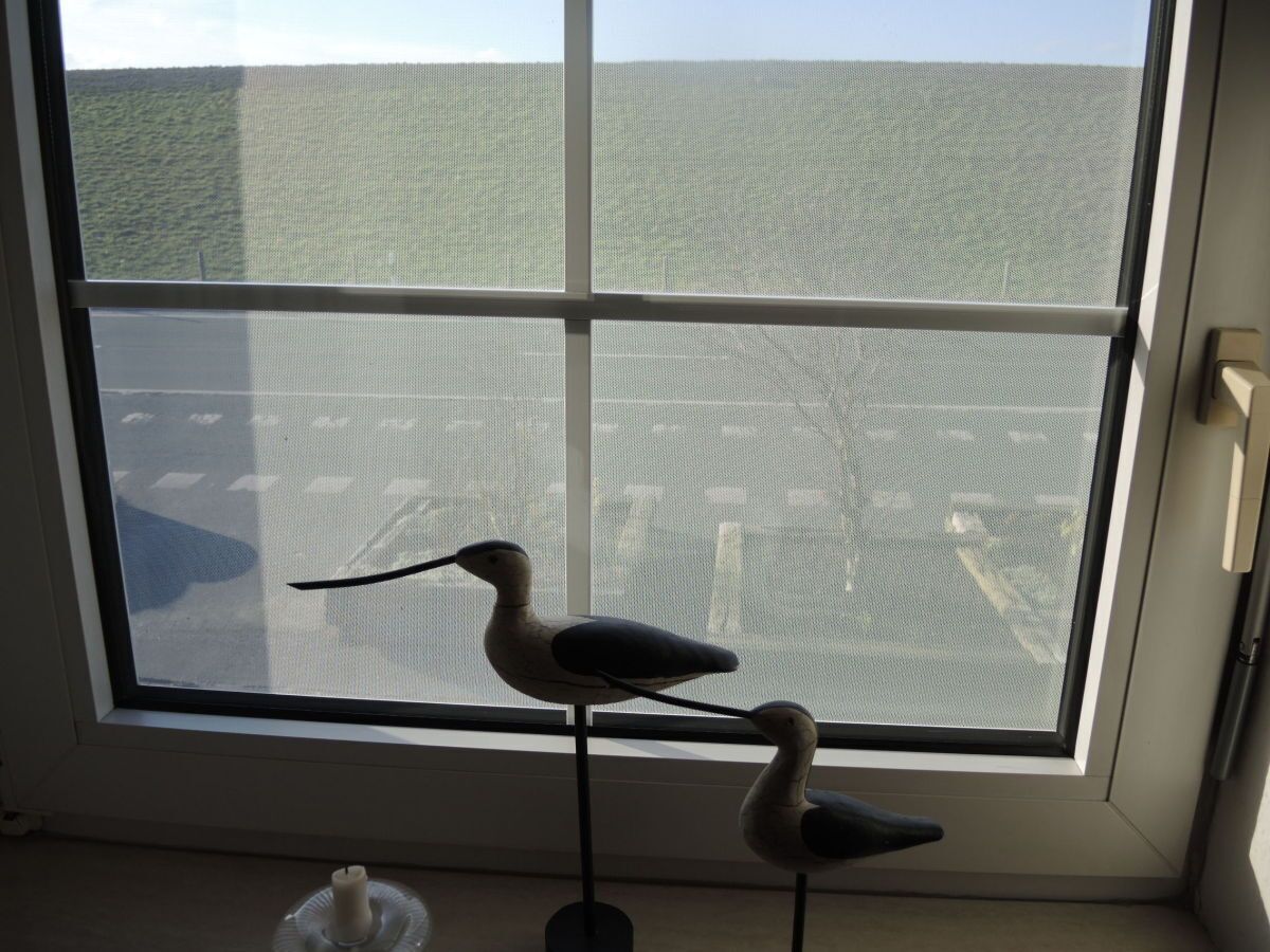 A window with a view of a parking lot and a building.