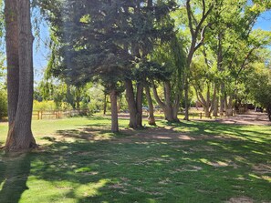 Parco della struttura