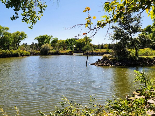 A calm lake surrounded by lush greenery and trees.