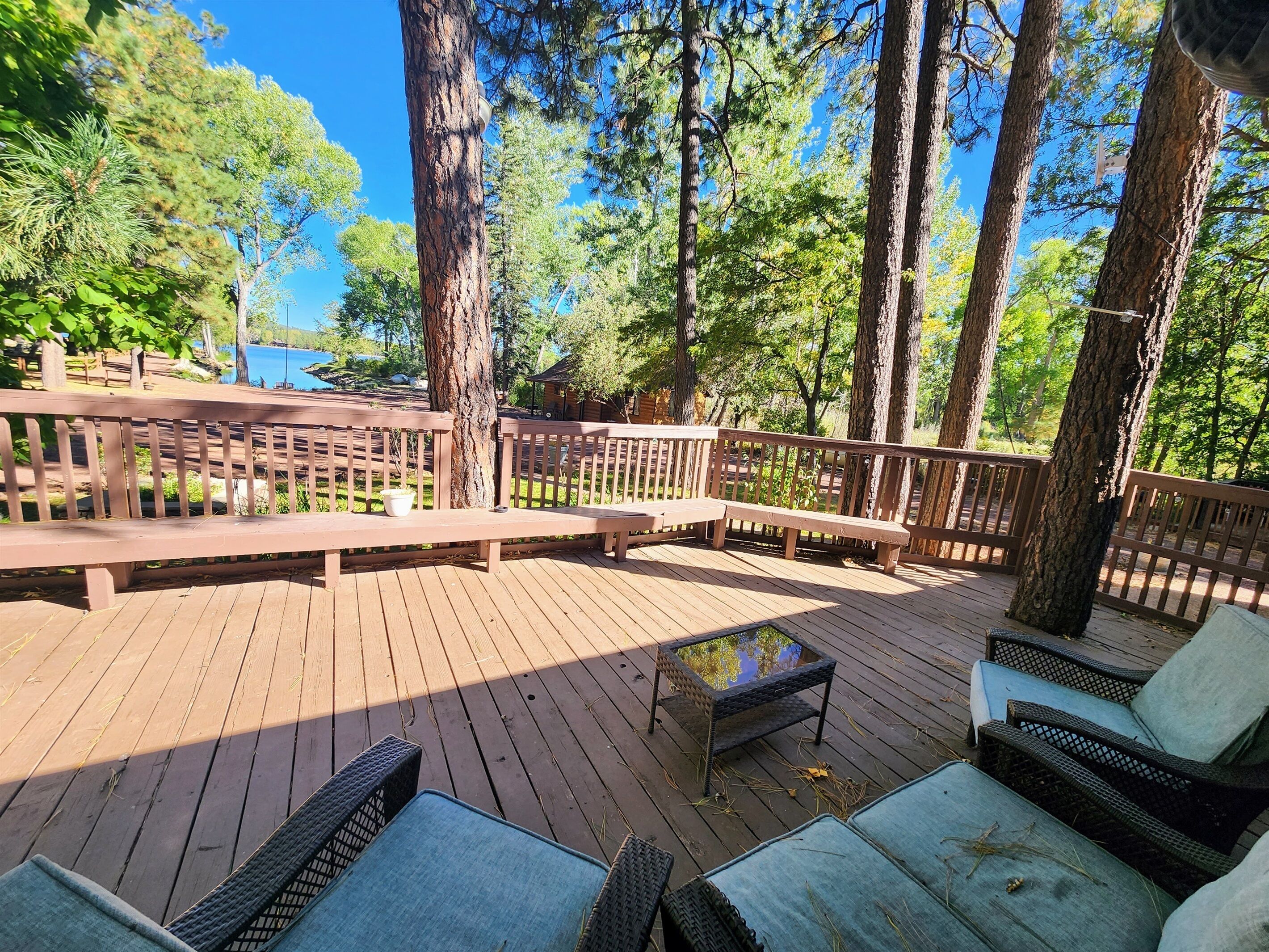 Une terrasse en bois, agrémentée de bancs et de fauteuils en osier, entourée de grands arbres.