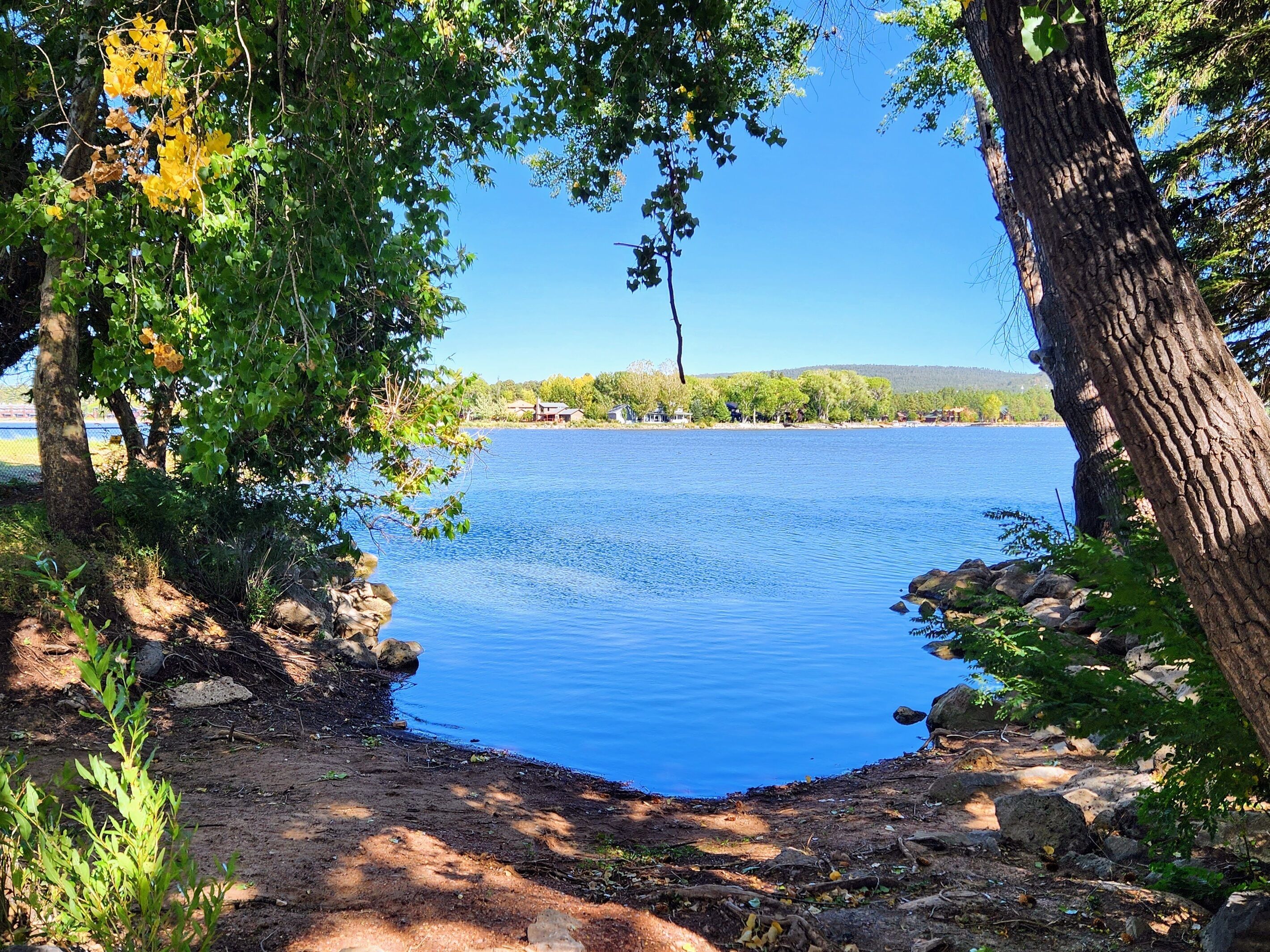 A lakeside view with a clear sky, trees, and a rocky shoreline.