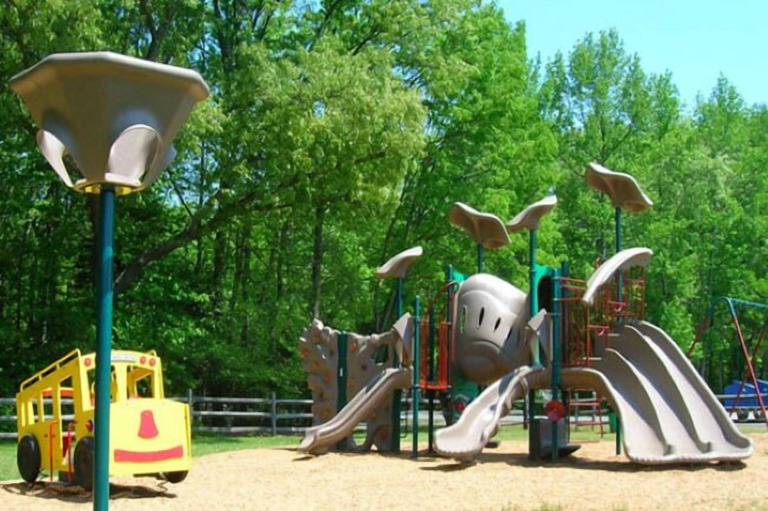A playground with slides and climbing structures, surrounded by trees.