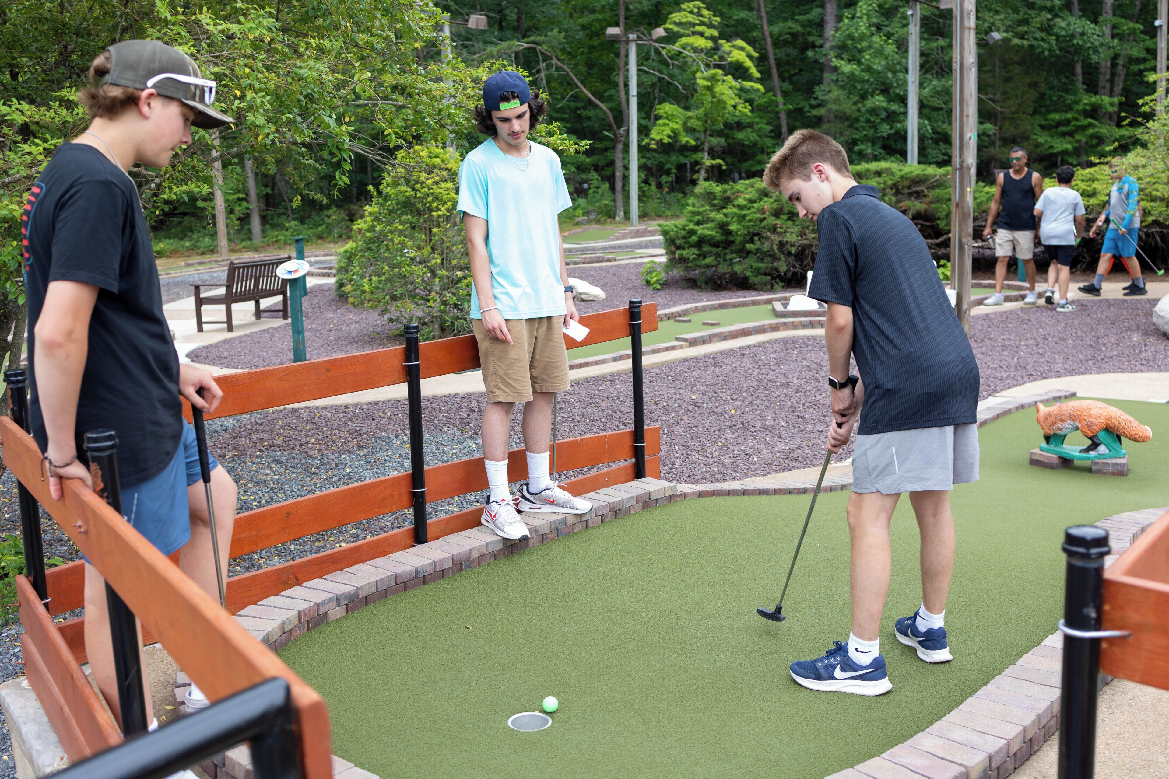 En miniatyrgolfbana med en grön konstgräsmatta, ett trästaket och en liten damm med en rävstaty.