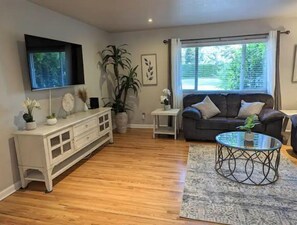 Televisión y chimenea 