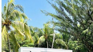 A small, white building with a covered patio area, surrounded by lush greenery and palm trees. - Almendra Beach Place (Los Cóbanos)