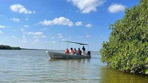 A boat with people on a calm water body, surrounded by greenery. - Posada Las Coloradas (Rio Lagartos)