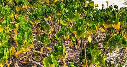 Posada Las Coloradas