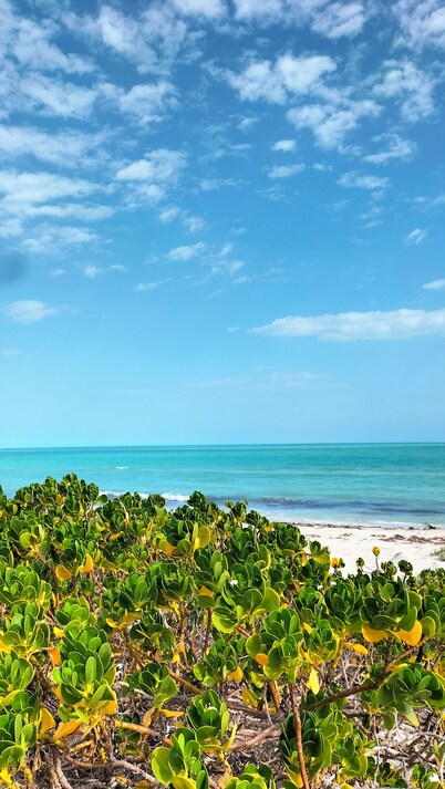 Posada Las Coloradas