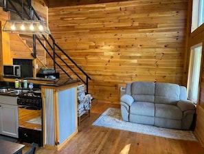 Smart TV, fireplace, video games, DVD player