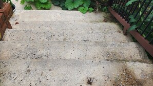 Un escalier en béton mène à une zone herbeuse, et une rambarde en métal se trouve sur le côté droit.