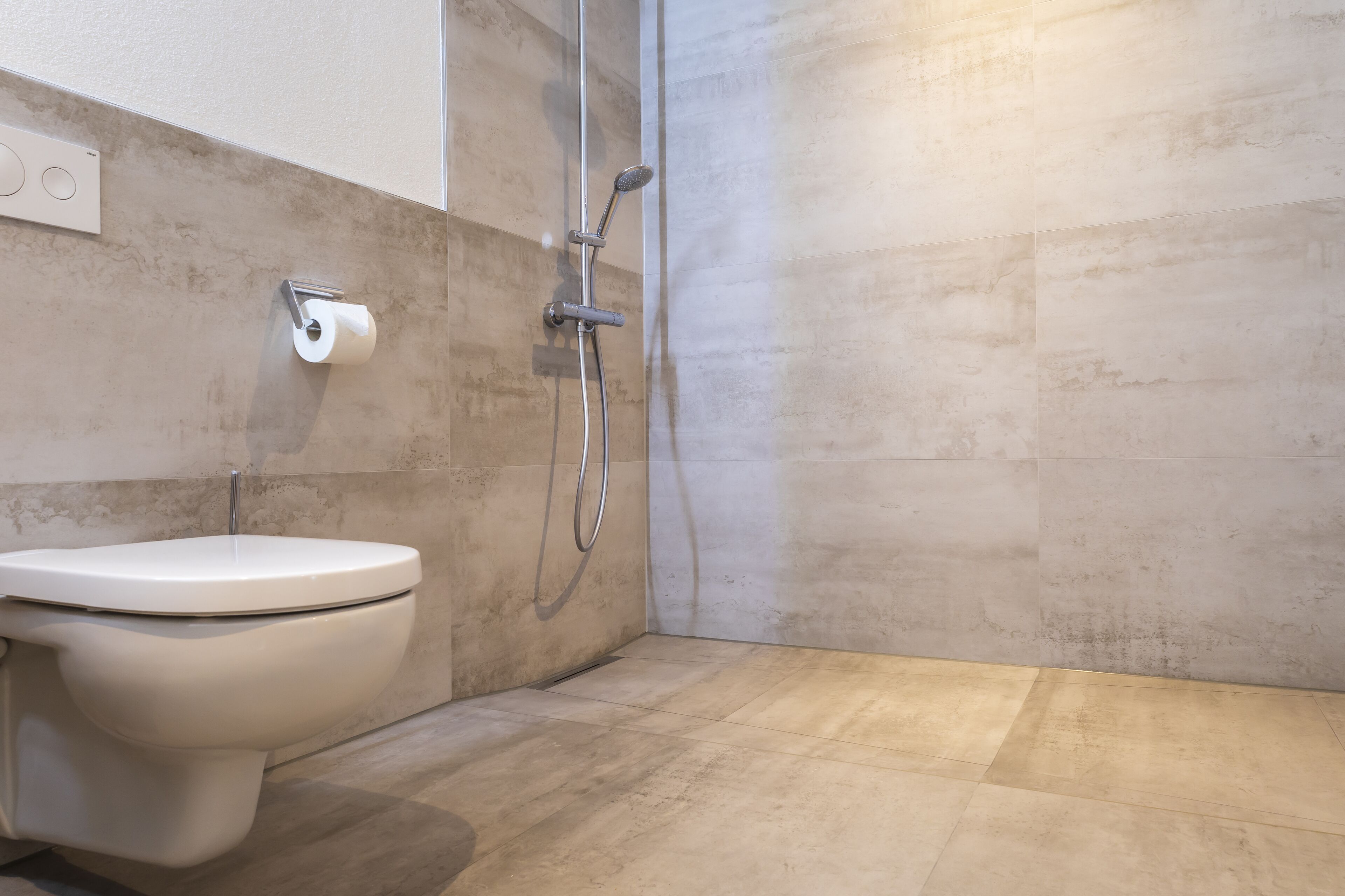 A bathroom with a toilet, a shower, and a toilet paper holder.
