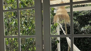 A view through a window with a white frame, a hammock, and a large rock. - Chalé Super Charmoso - CasaIvan (Florianópolis)
