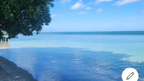A beach with clear water and a tree on the left. - La Posita Beach House  (Cabo Rojo)