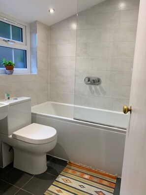 Hair dryer, towels, soap, toilet paper